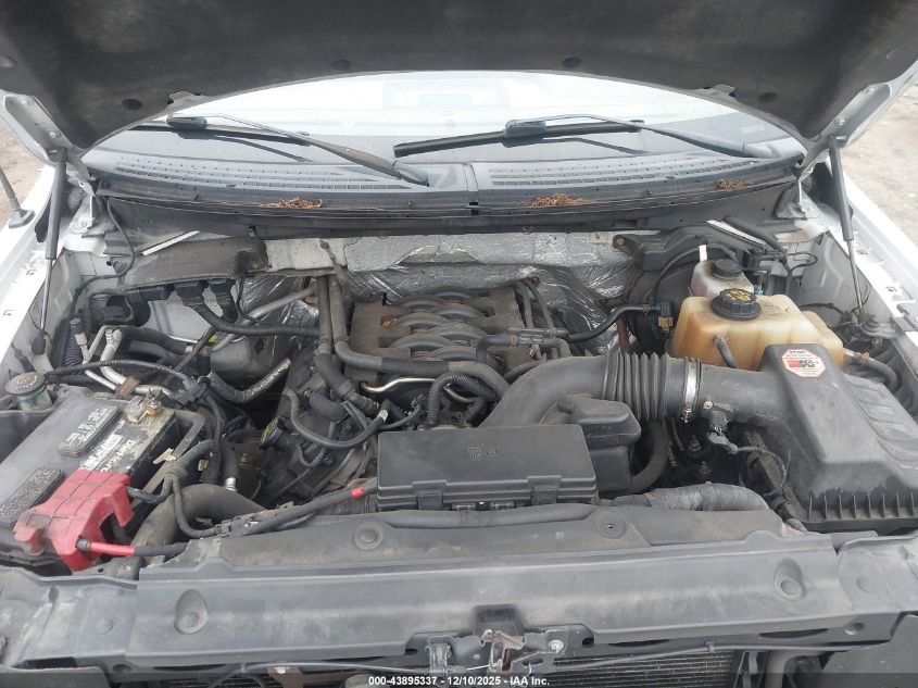 2011 Ford F-150 King Ranch VIN: 1FTFW1EF6BKD42782 Lot: 43895337