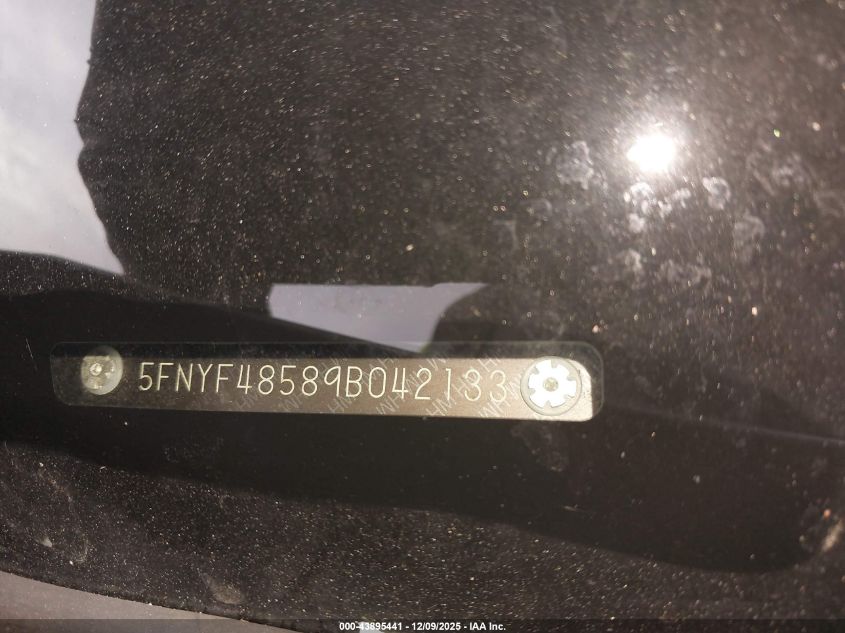 2009 Honda Pilot Ex-L VIN: 5FNYF48589B042133 Lot: 43895441
