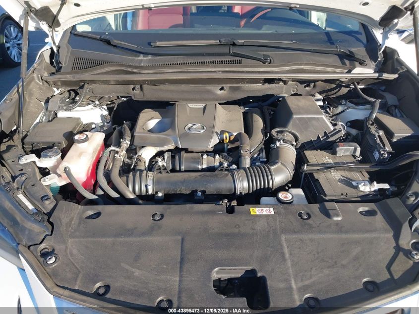 2019 Lexus Nx 300 VIN: JTJYARBZ2K2145111 Lot: 43895473