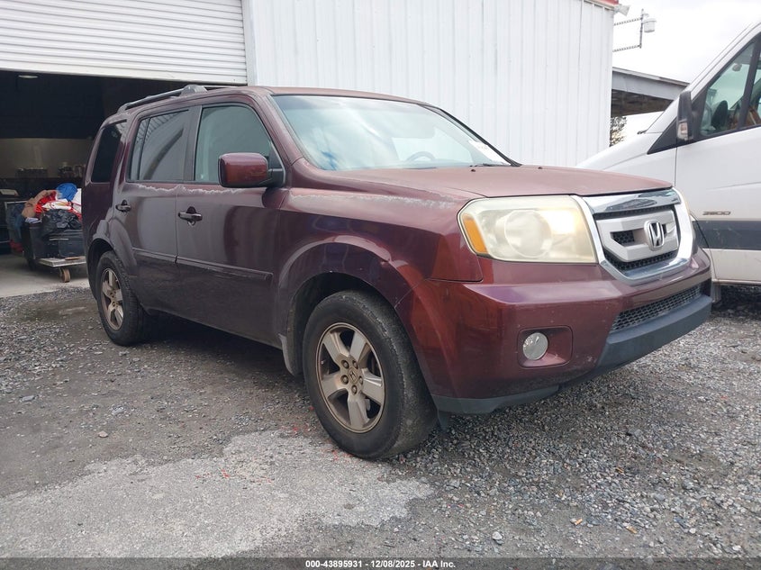5FNYF48419B005741 2009 Honda Pilot Ex auction photo 1