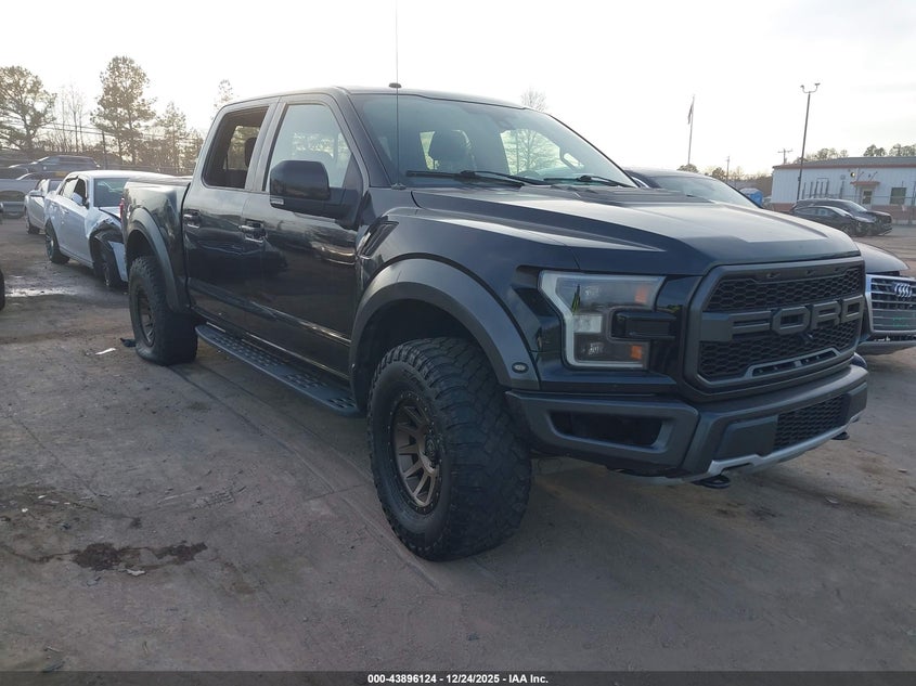 1FTFW1RG8HFB60232 2017 Ford F-150 Raptor auction photo 1