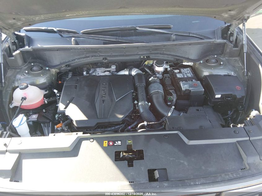 2024 Hyundai Santa Fe Sel VIN: 5NMP24GL6RH012411 Lot: 43896302