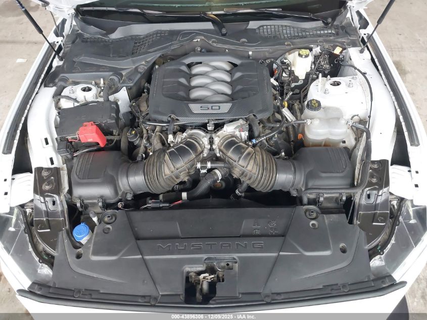 2024 Ford Mustang Gt Fastback VIN: 1FA6P8CF0R5428449 Lot: 43896306