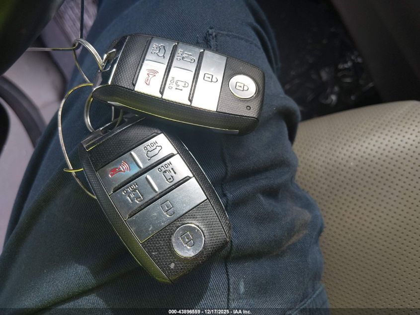 2017 Kia Sedona Lx VIN: KNDMB5C12H6329269 Lot: 43896559