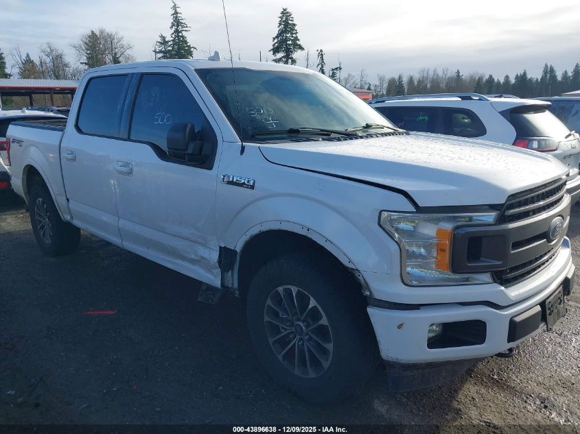 FORD F-150 XLT