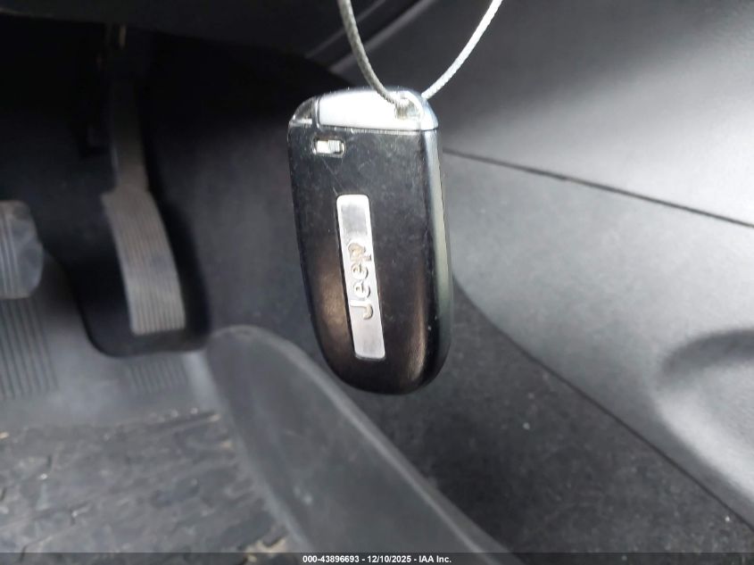 2020 Jeep Grand Cherokee Trailhawk 4X4 VIN: 1C4RJFLG9LC347068 Lot: 43896693