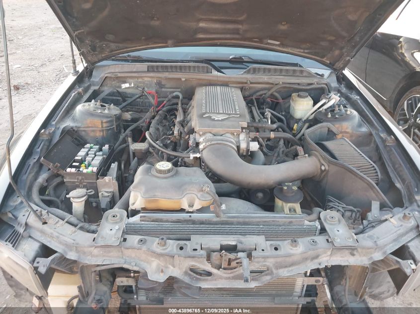 2007 Ford Mustang Gt Deluxe/Gt Premium VIN: 1ZVFT82H075285683 Lot: 43896765