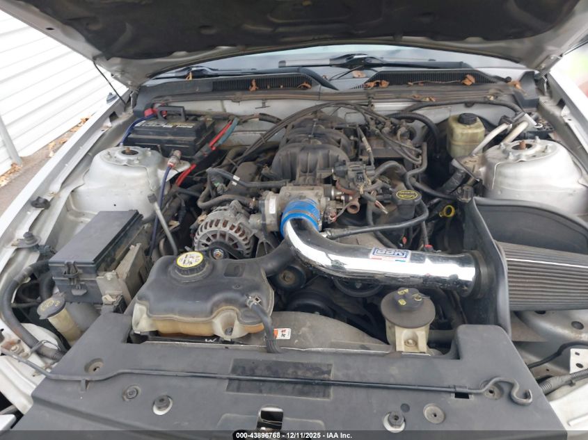 2006 Ford Mustang V6 VIN: 1ZVFT84N065255049 Lot: 43896768