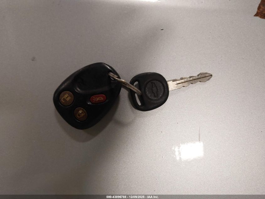 2003 Chevrolet Silverado 1500 Ls VIN: 2GCEK19T831214052 Lot: 43896788