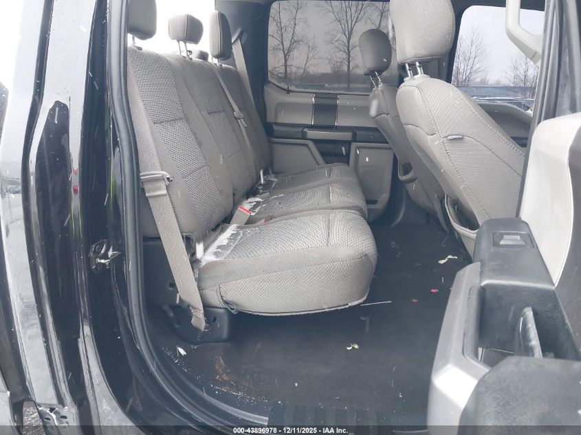 2019 Ford F-150 Xlt VIN: 1FTEW1EP9KFB69692 Lot: 43896978