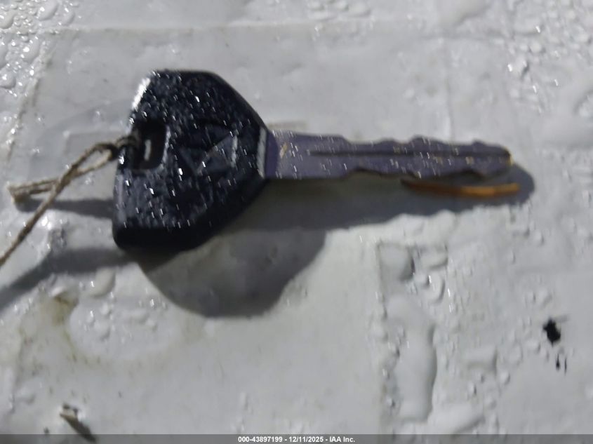 1999 Dodge Ram Van 2500 Commercial/Commercial Maxi/Conversion VIN: 2B7JB21Y4XK530432 Lot: 43897199