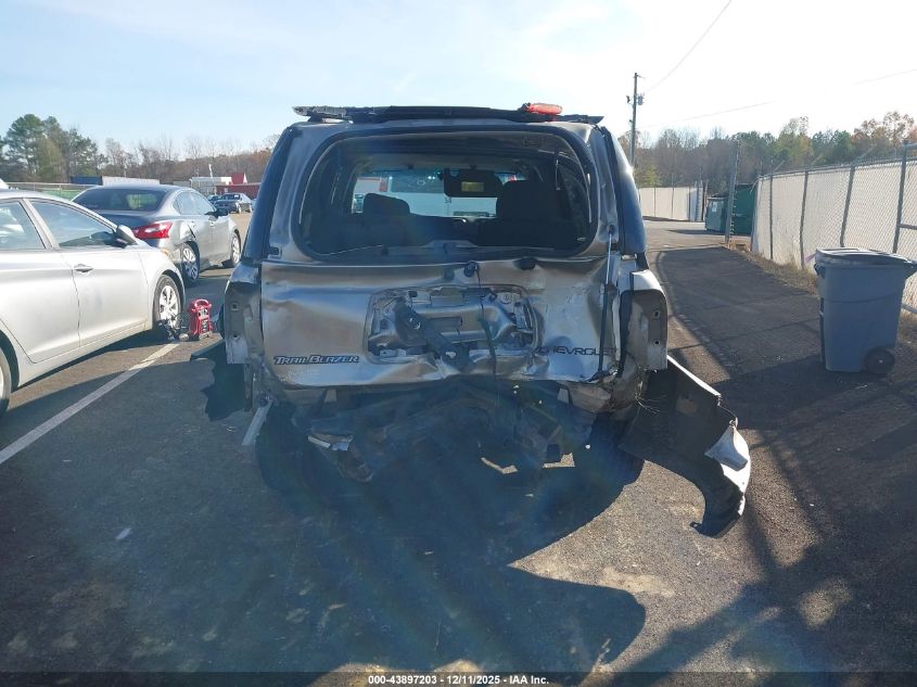 2003 Chevrolet Trailblazer Ls VIN: 1GNDT13SX32318137 Lot: 43897203