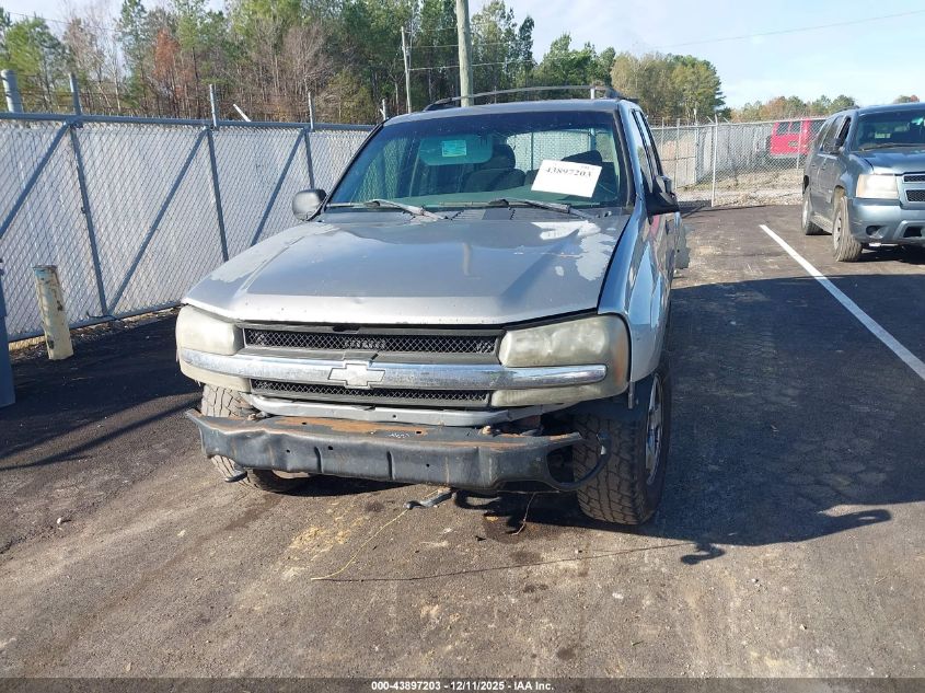 2003 Chevrolet Trailblazer Ls VIN: 1GNDT13SX32318137 Lot: 43897203