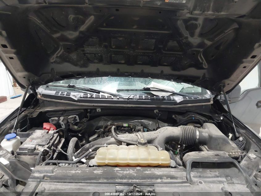 2019 Ford F-150 Xl VIN: 1FTEW1EP8KFB44119 Lot: 43897362