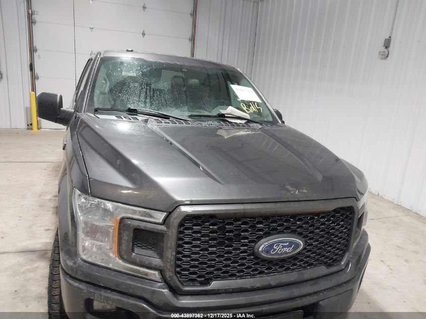 2019 Ford F-150 Xl VIN: 1FTEW1EP8KFB44119 Lot: 43897362