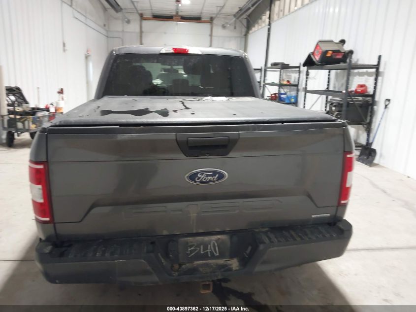 2019 Ford F-150 Xl VIN: 1FTEW1EP8KFB44119 Lot: 43897362