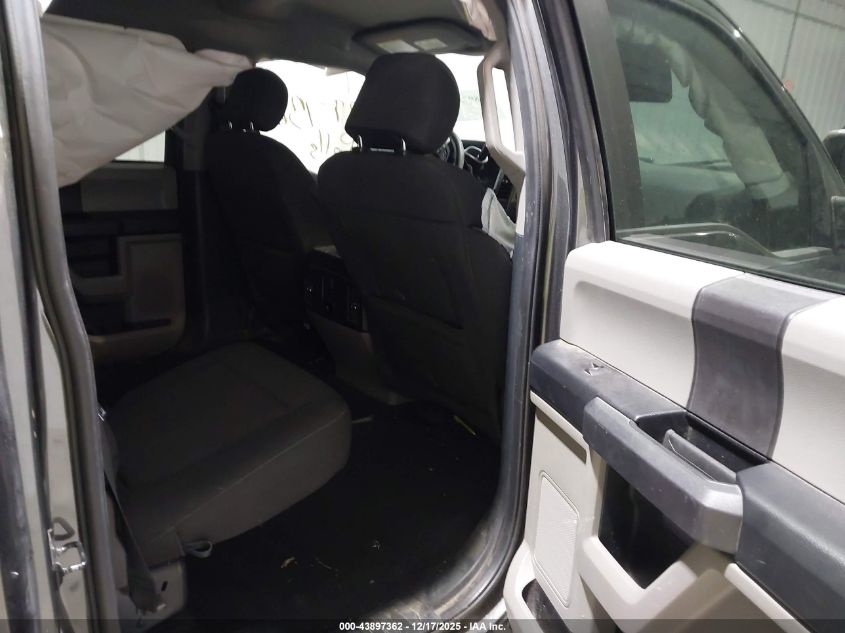 2019 Ford F-150 Xl VIN: 1FTEW1EP8KFB44119 Lot: 43897362