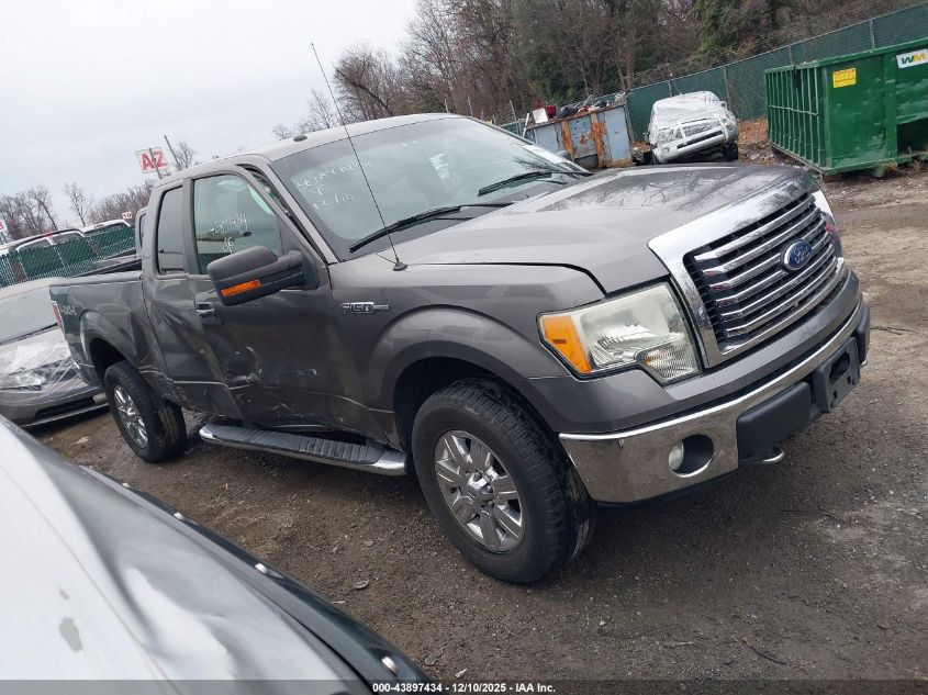 2011 Ford F-150 Xlt VIN: 1FTFX1EF8BFB69241 Lot: 43897434