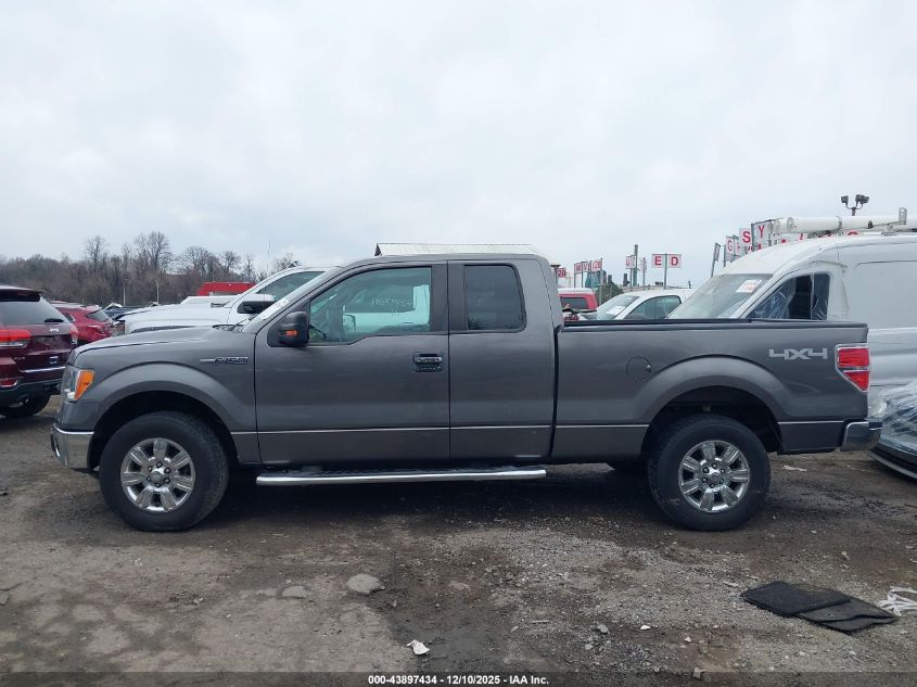 2011 Ford F-150 Xlt VIN: 1FTFX1EF8BFB69241 Lot: 43897434