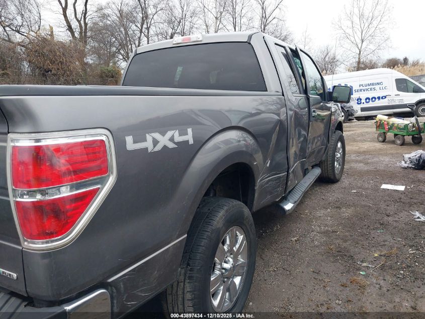 2011 Ford F-150 Xlt VIN: 1FTFX1EF8BFB69241 Lot: 43897434