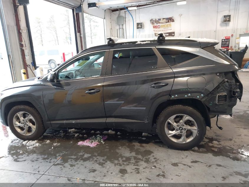 2022 Hyundai Tucson Sel VIN: 5NMJBCAE8NH117343 Lot: 43897891