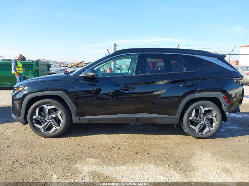 2023 Hyundai Tucson Limited VIN: 5NMJE3AE6PH191810 Lot: 43898502