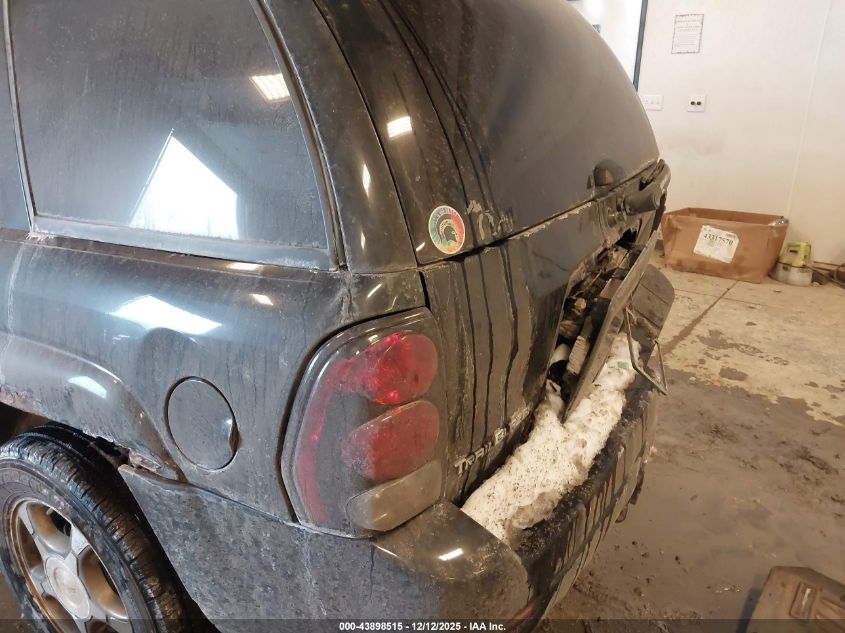 2009 Chevrolet Trailblazer Lt VIN: 1GNDT33S292101332 Lot: 43898515