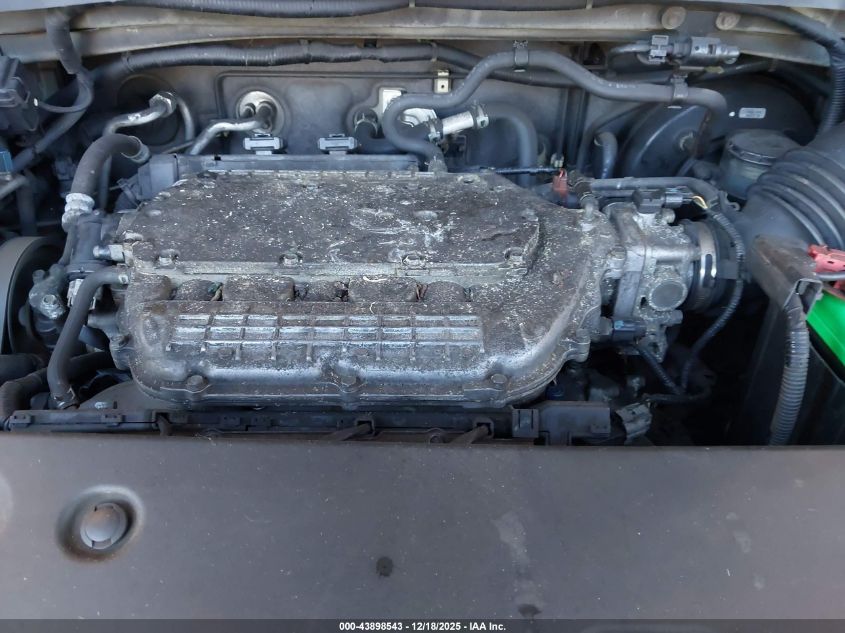 2005 Honda Odyssey Touring VIN: 5FNRL38875B064765 Lot: 43898543