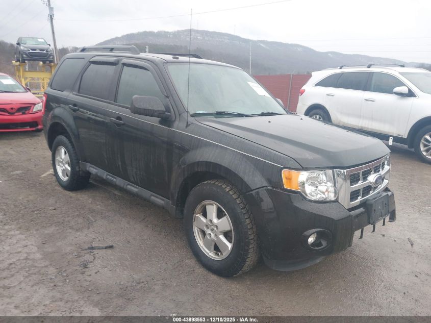 FORD ESCAPE XLT