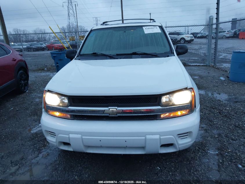 2004 Chevrolet Trailblazer Ls VIN: 1GNDT13S242403510 Lot: 43898674