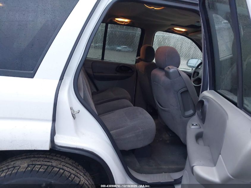 2004 Chevrolet Trailblazer Ls VIN: 1GNDT13S242403510 Lot: 43898674