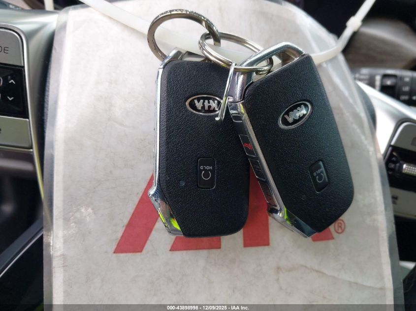 2021 Kia Telluride Sx VIN: 5XYP5DHC1MG173080 Lot: 43898998