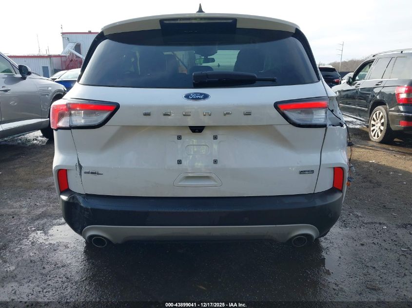 2021 Ford Escape Sel Plug-In Hybrid VIN: 1FMCU0KZ1MUA67505 Lot: 43899041