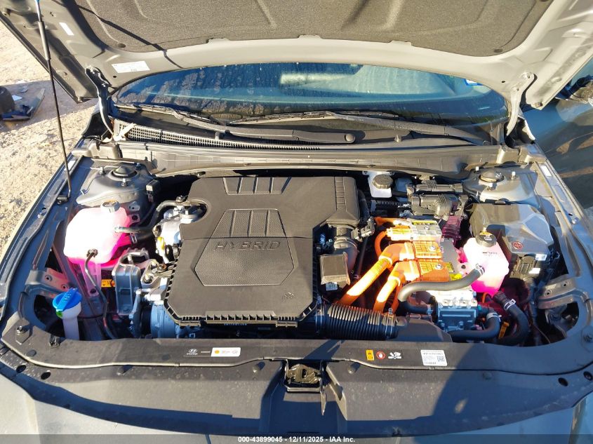 2026 Hyundai Elantra Hybrid Blue VIN: KMHLM4DJ0TU185834 Lot: 43899045