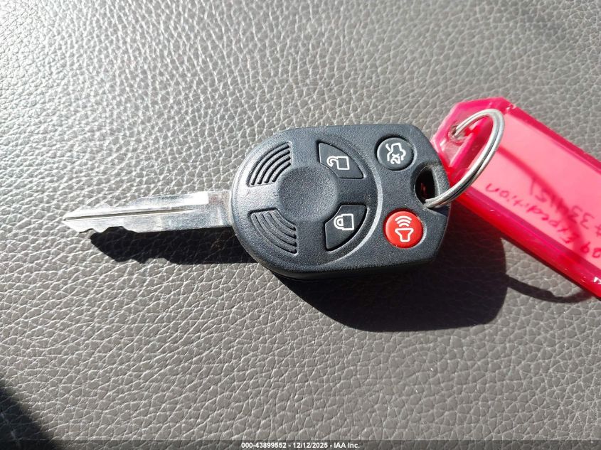 2009 Ford Expedition Xlt VIN: 1FMFU15549EB06553 Lot: 43899552