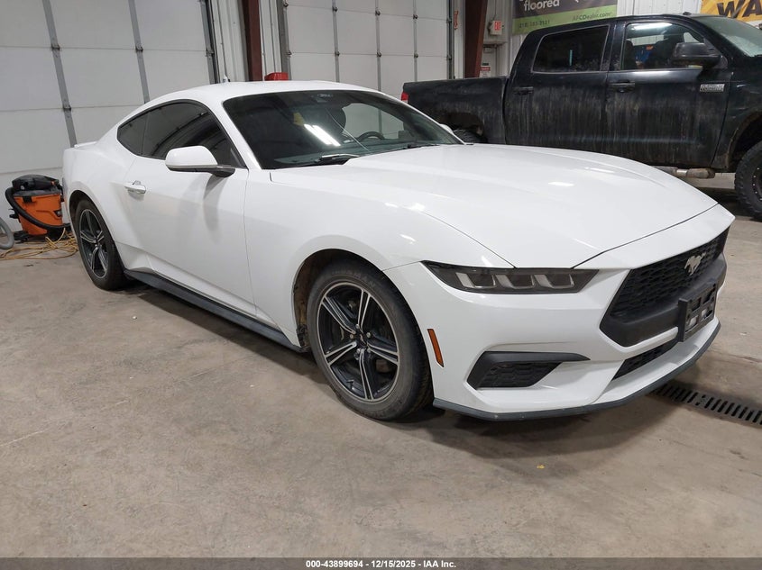 1FA6P8TH2R5127215 FORD MUSTANG Photo 1