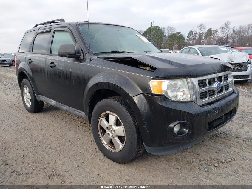 Vin: 1fmcu0dg2bkc02057, lot: 44395285, ford escape xlt 2011 img_1