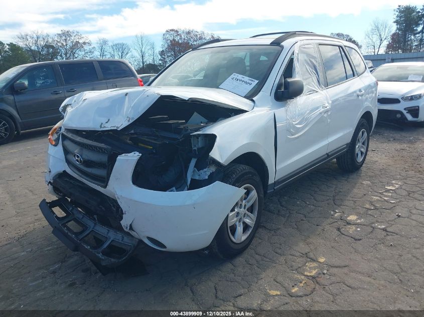 2009 Hyundai Santa Fe Gls VIN: 5NMSG13D19H320529 Lot: 43899909