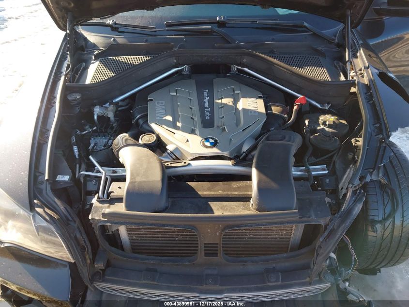 2011 BMW X6 xDrive50I VIN: 5UXFG8C55BLZ95290 Lot: 43899981