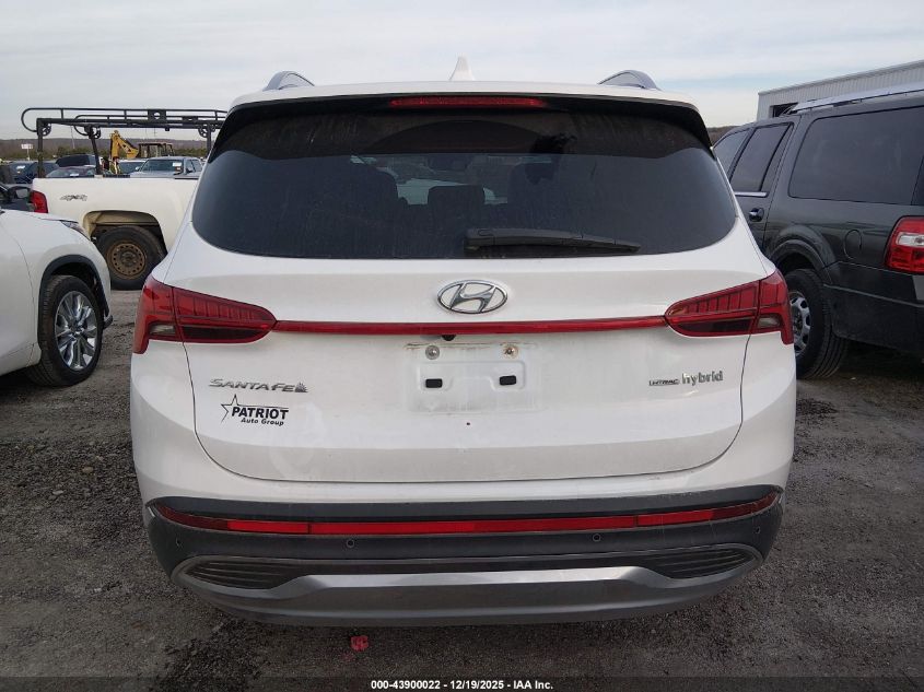 2023 Hyundai Santa Fe Hybrid Sel Premium VIN: 5NMS3DA12PH007444 Lot: 43900022
