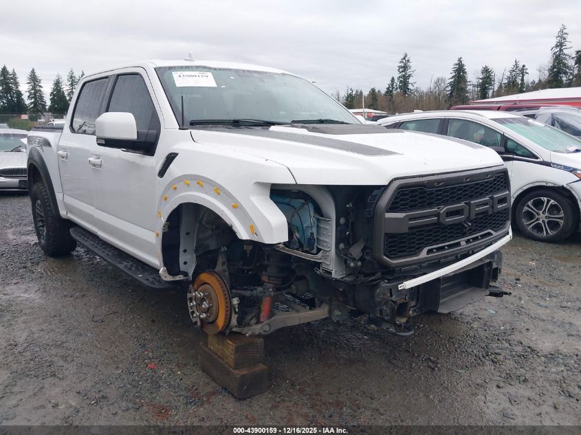 2019 Ford F-150 Raptor VIN: 1FTFW1RGXKFC17649 Lot: 43900159