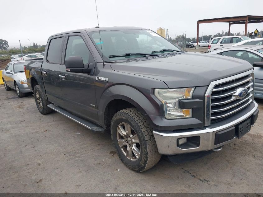 FORD F-150 XLT