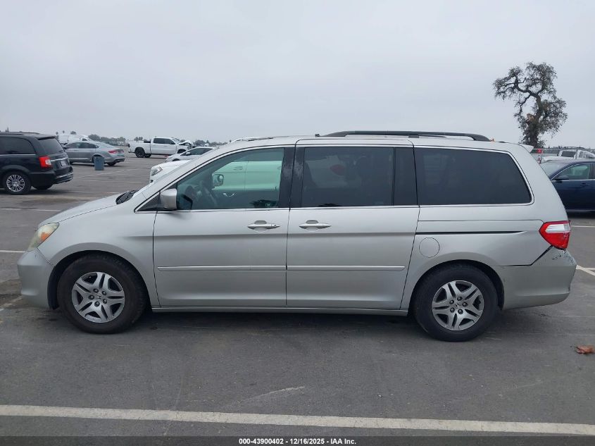 2005 Honda Odyssey Ex-L VIN: 5FNRL38675B417942 Lot: 43900402