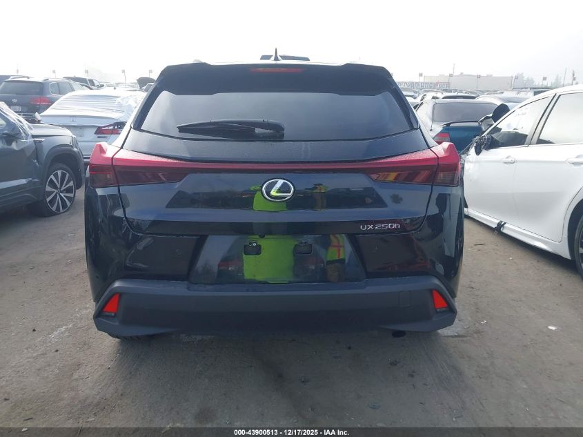 2024 Lexus Ux 250H VIN: JTHX6JBH5R2188956 Lot: 43900513