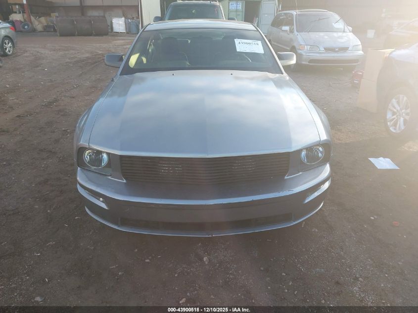 2006 Ford Mustang Gt VIN: 1ZVFT82H065137516 Lot: 43900518