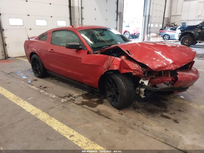 FORD MUSTANG V6 PREMIUM