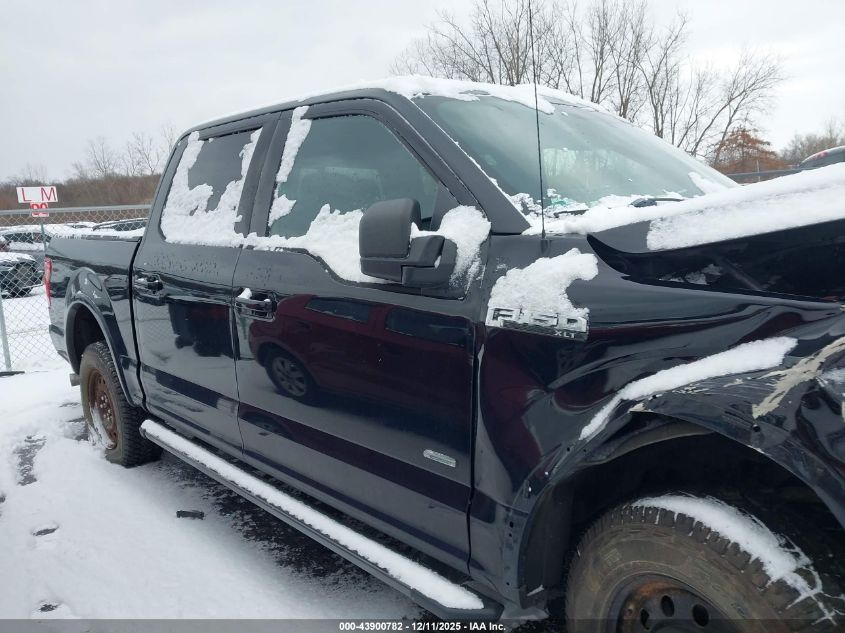 2017 Ford F-150 Xlt VIN: 1FTEW1EP2HFC87513 Lot: 43900782