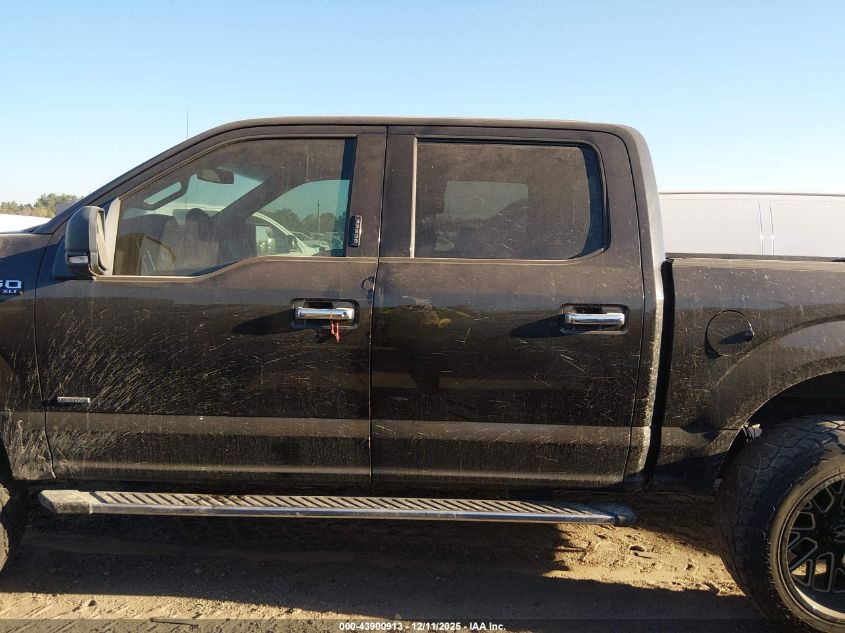 2015 Ford F-150 Xlt VIN: 1FTEW1CP0FKD66024 Lot: 43900913