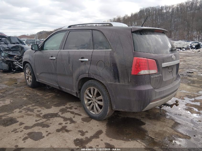 2011 Kia Sorento Sx V6 VIN: 5XYKWDA26BG146415 Lot: 43901172