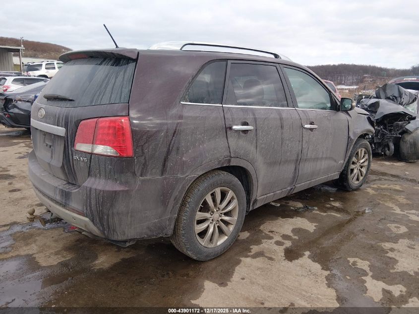 2011 Kia Sorento Sx V6 VIN: 5XYKWDA26BG146415 Lot: 43901172
